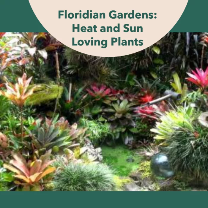 The Best Heat And Sun Loving Plants For Florida Gardens - Florida ...